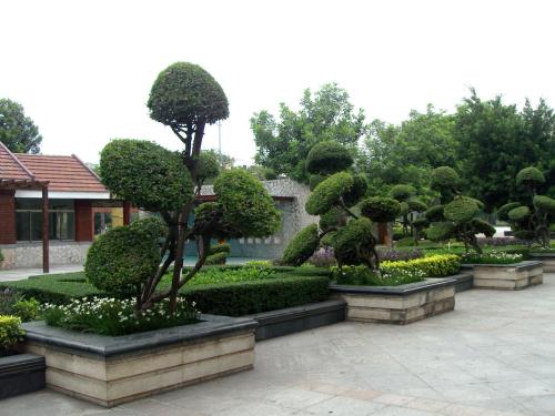 鹽城景觀(guān)園林設計