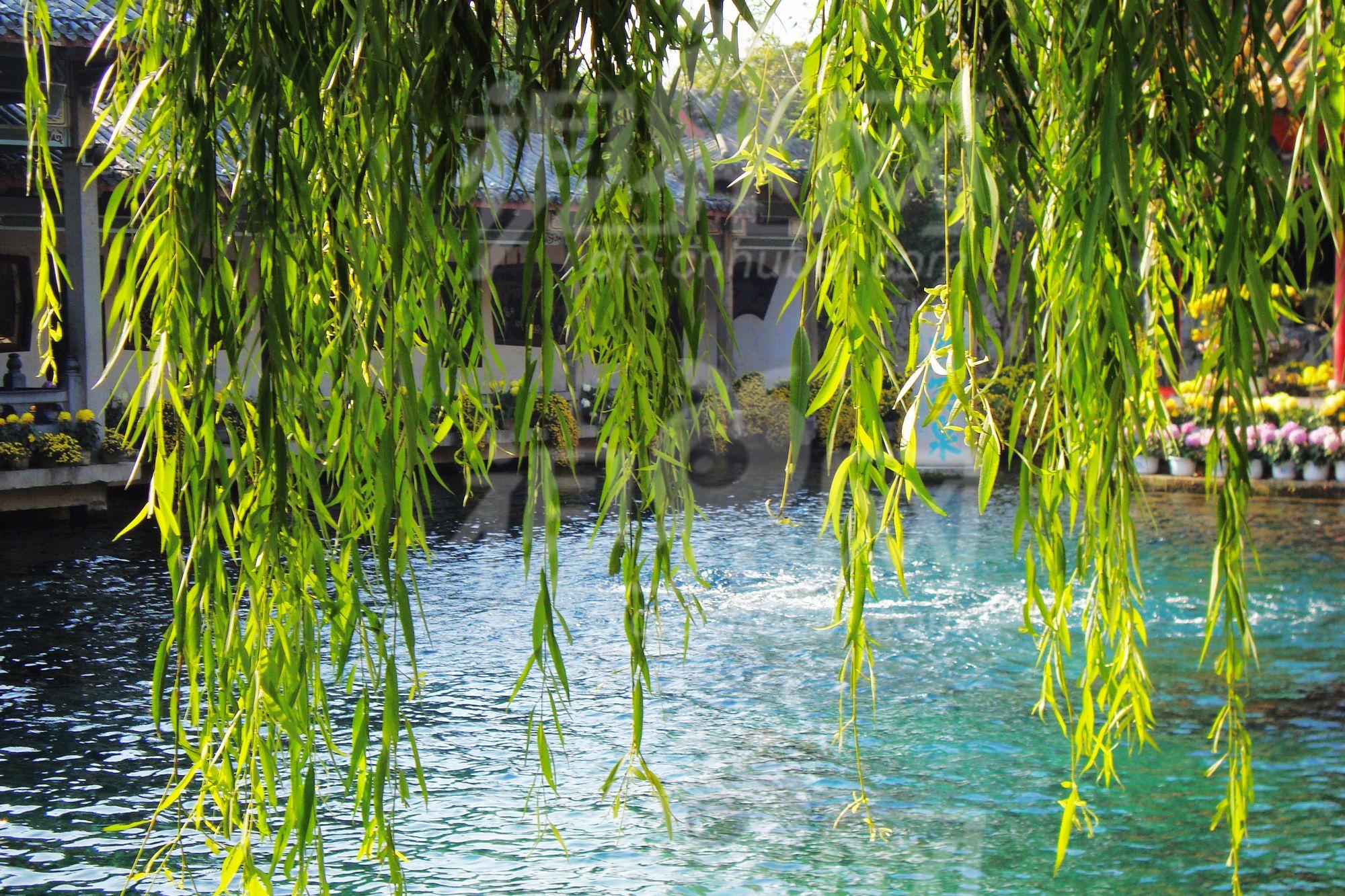鹽城景觀(guān)園林設計